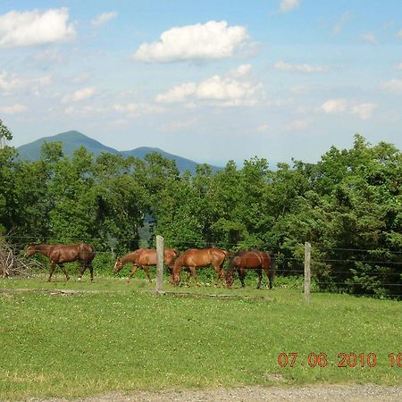 Bent Mountain Lodge Roanoke Buitenkant foto