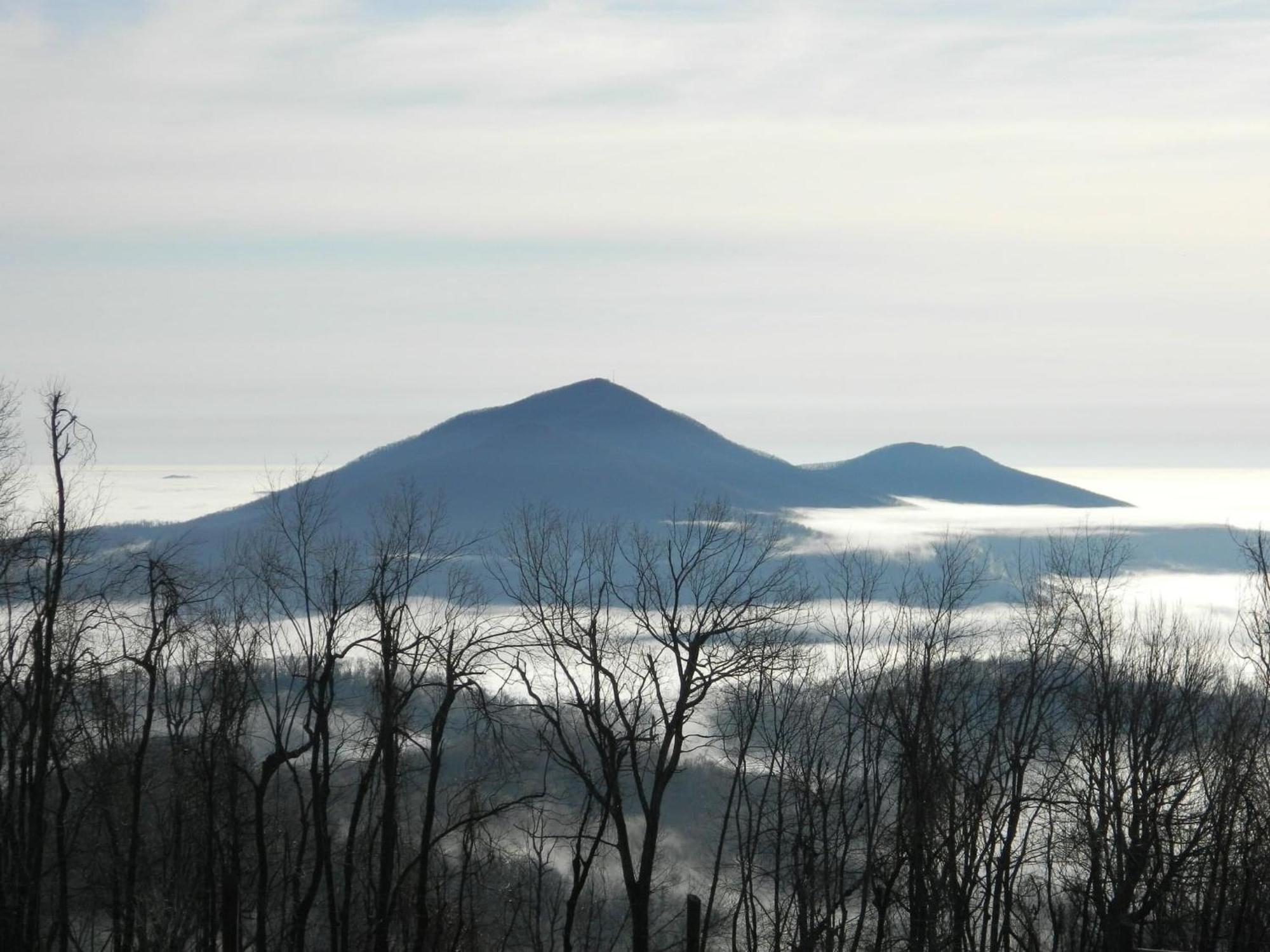 Bent Mountain Lodge Roanoke Buitenkant foto