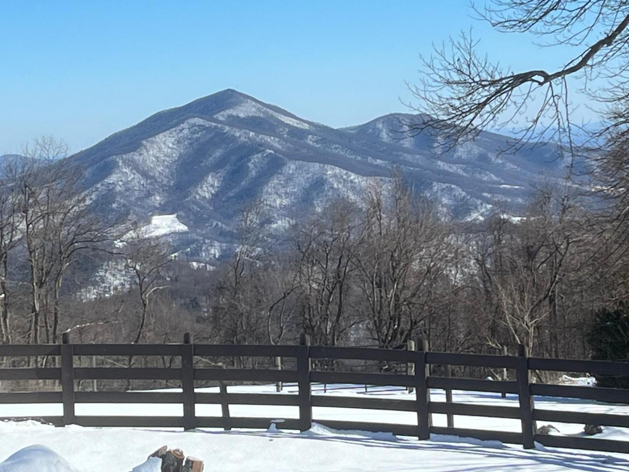 Bent Mountain Lodge Roanoke Buitenkant foto