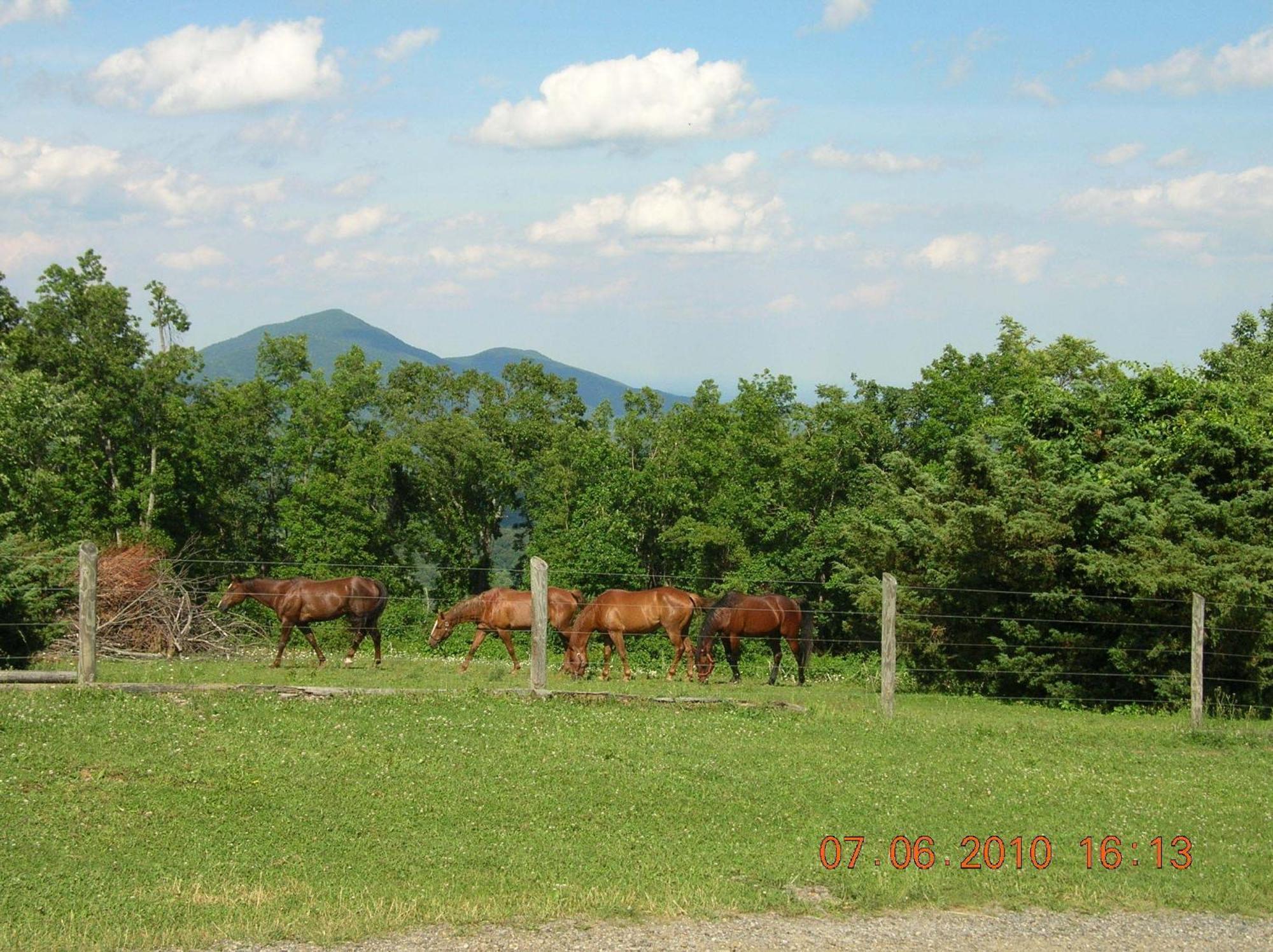 Bent Mountain Lodge Roanoke Buitenkant foto